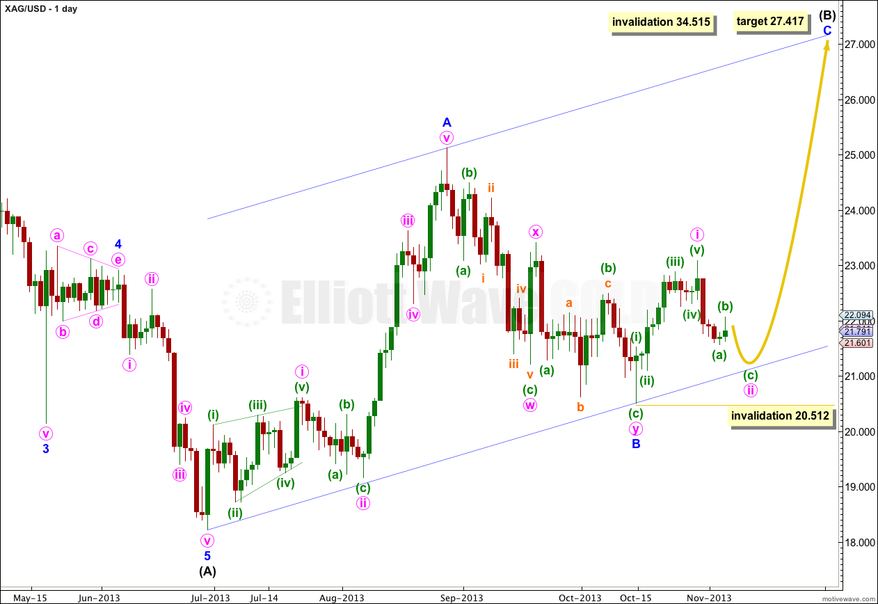 Silver daily 2013