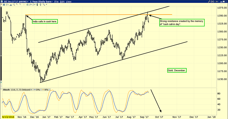 1-Year Gold