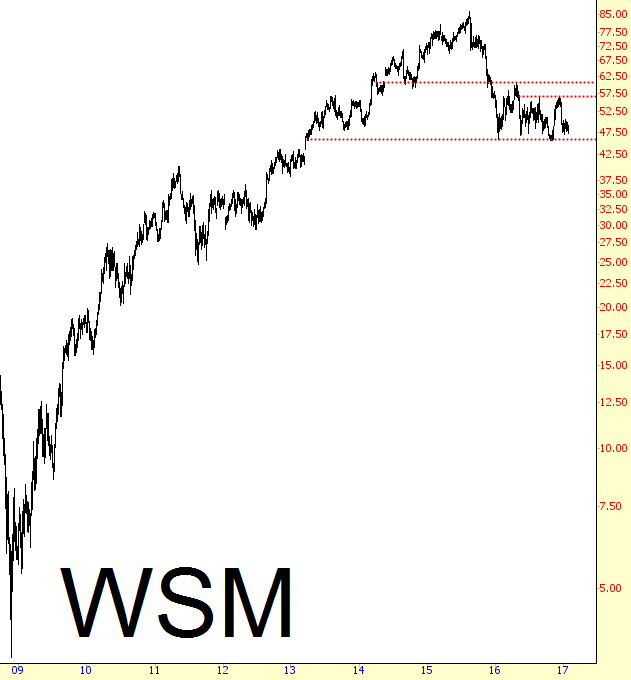 WSM Chart