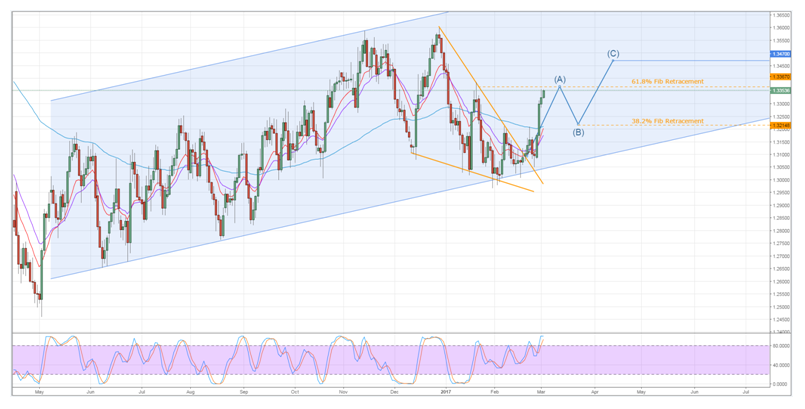 Loonie Rally Ready