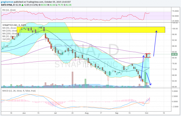 Synaptics Daily Chart