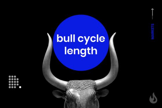 When Will Crypto Bull Lower Its Horns?