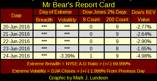 Mr Bear's Report Card