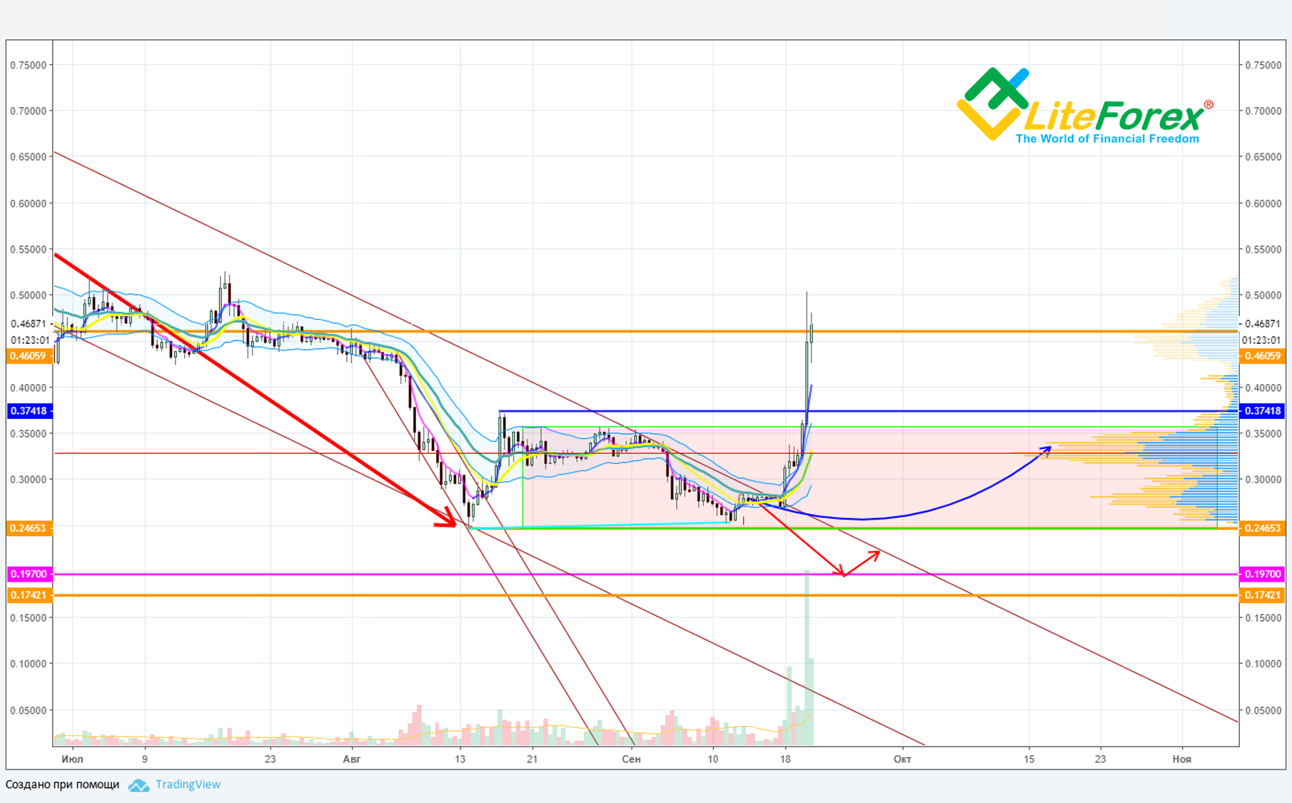 Is Xrp Going To Rise Today Why Did Xrp Crash Today Why Did Xrp 