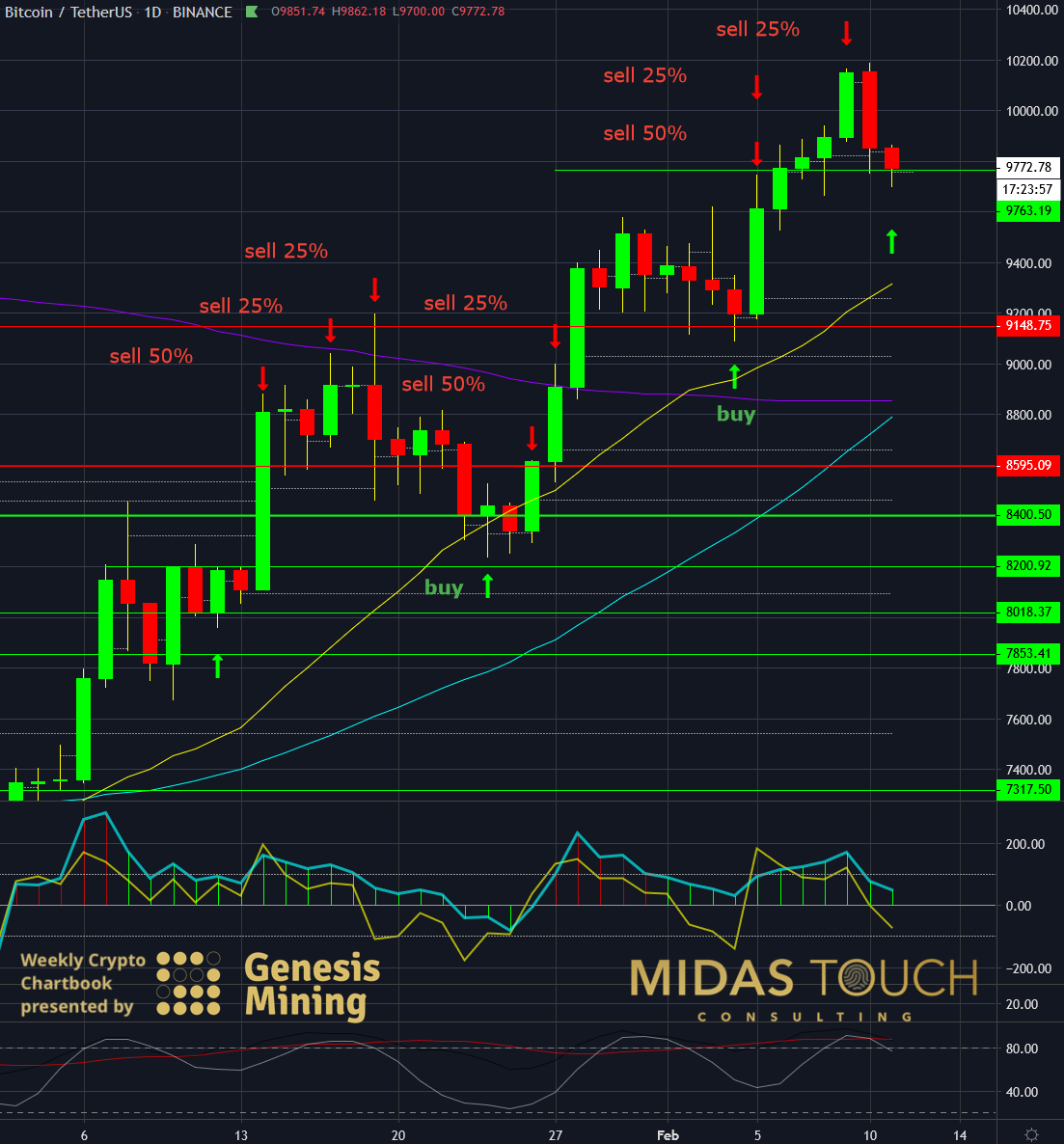 BTC Daily Chart - Feb 11th