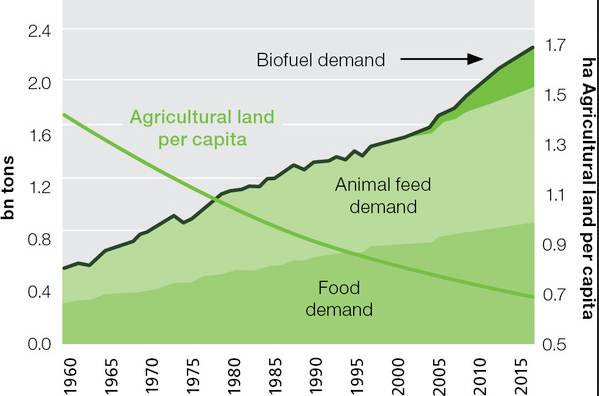 Agricultural Land vs. Demand