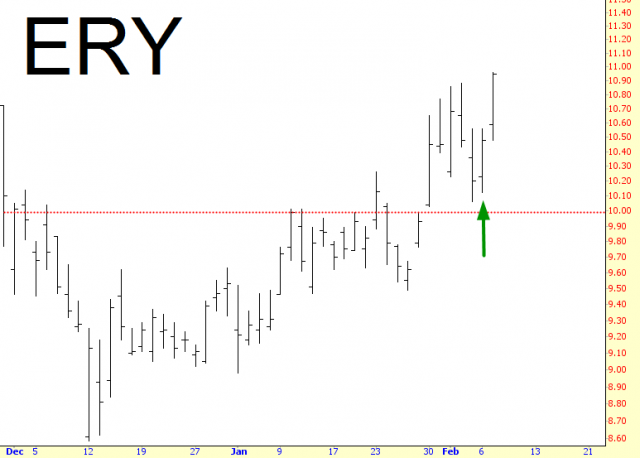 Direxion Daily Energy Bear 3X Shares