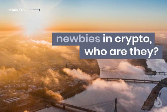 Newbies In Crypto, Who Are They?