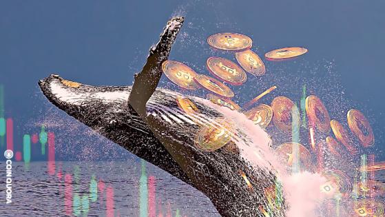 Whales Bought the Dip as BTC Price Dropped Below $36K