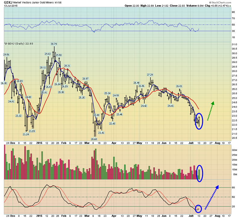 Daily Jr. Gold Miners