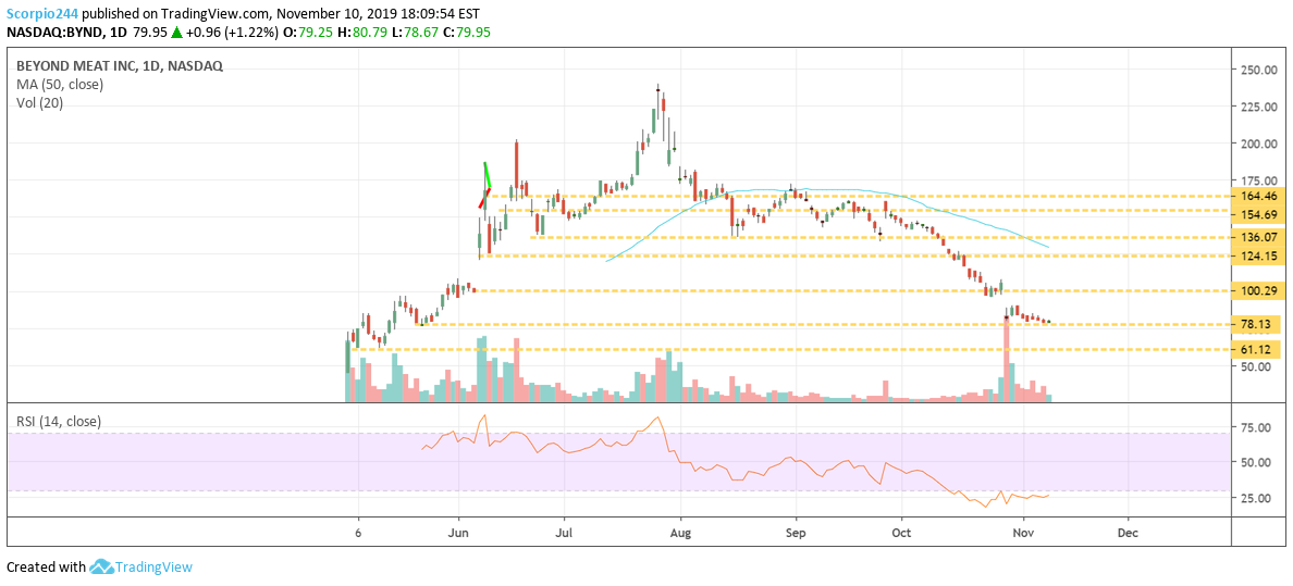 Beyond Meat Inc Daily Chart