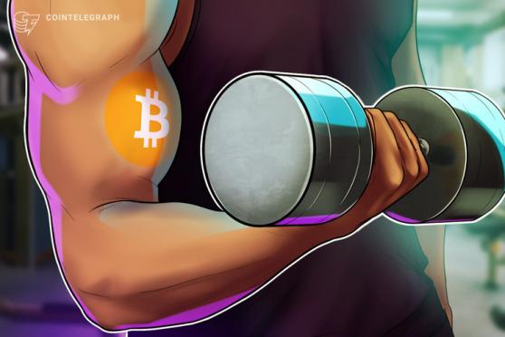 PayPal Bitcoin Rumor Boosts $12K BTC Price Rally Chances