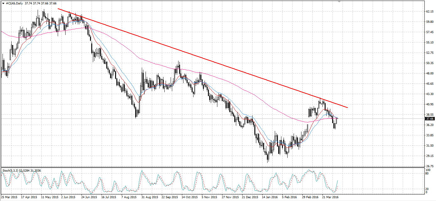 Oil Daily