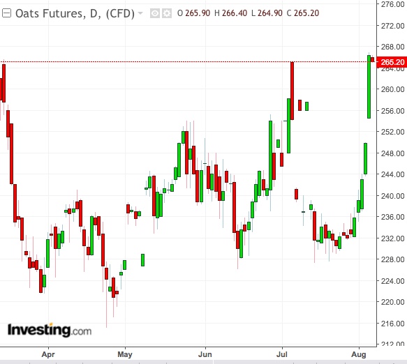 Oat Daily Chart