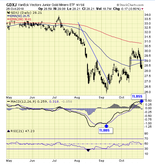 GDXJ Daily