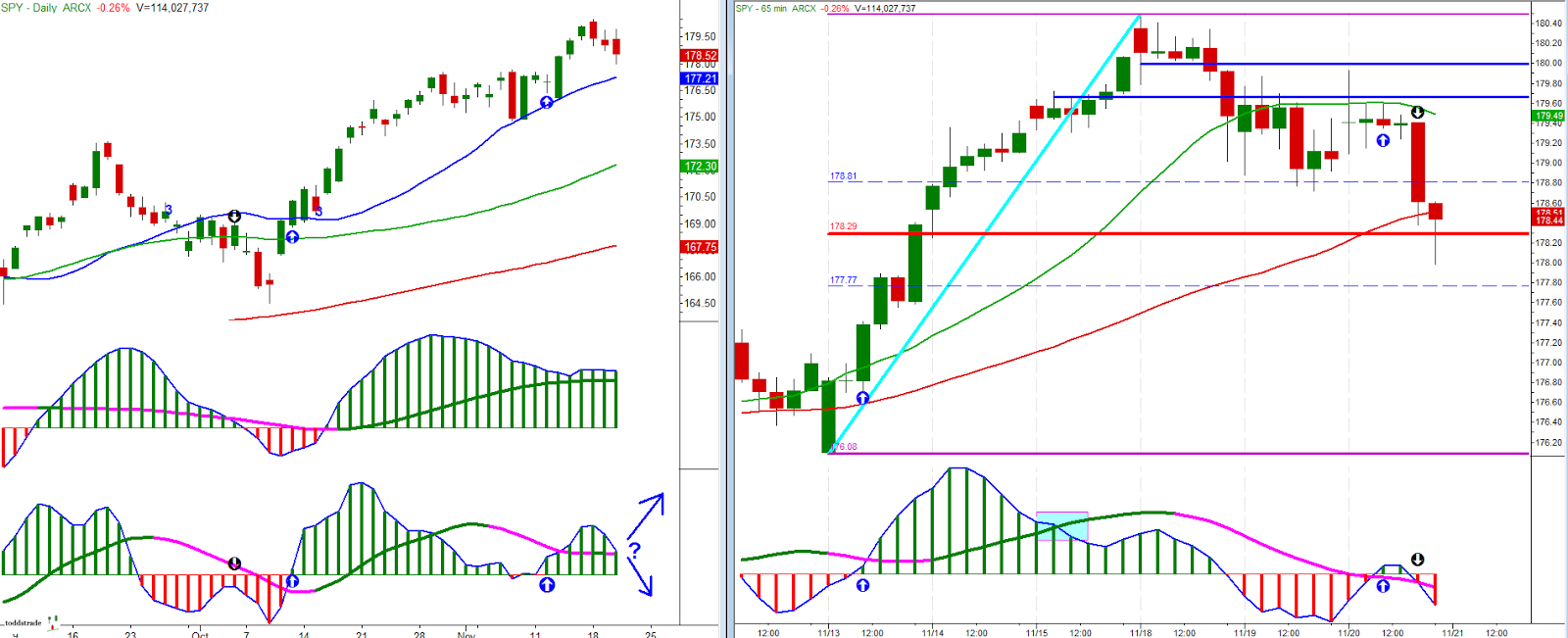 SPY Daily