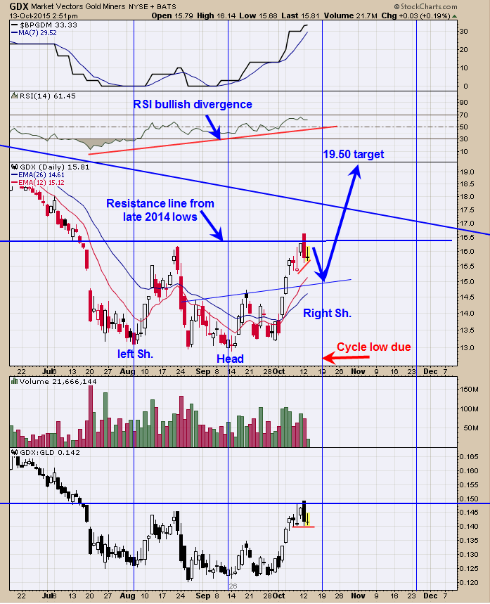 Market Vectors Gold Miners