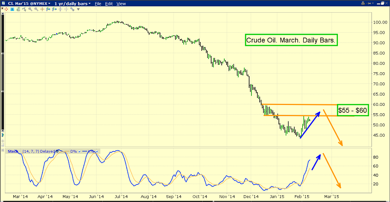 Daily Oil