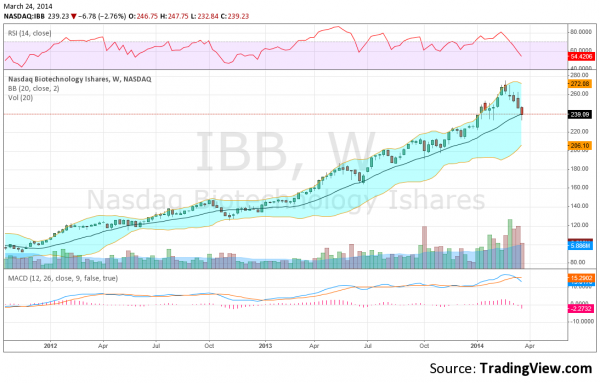 IBB Weekly