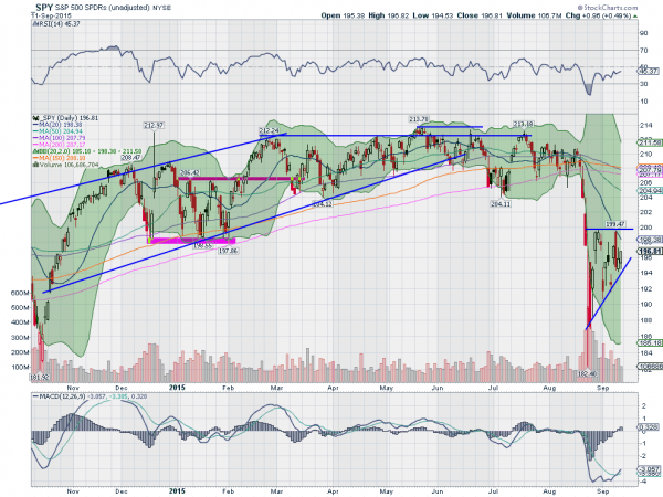 SPY Daily