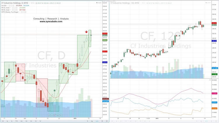 CF Holdings Daily and 2-H Charts