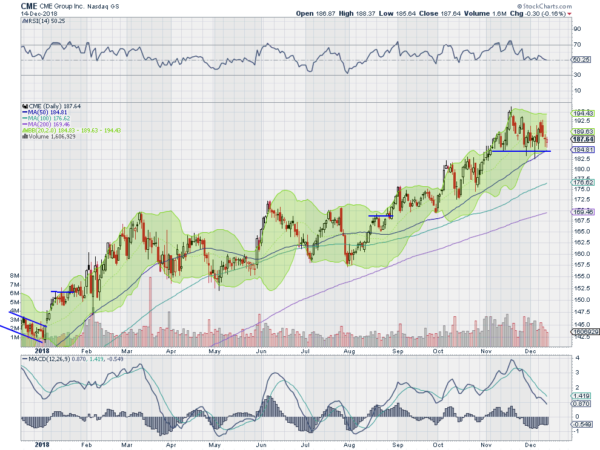 CME Daily Chart