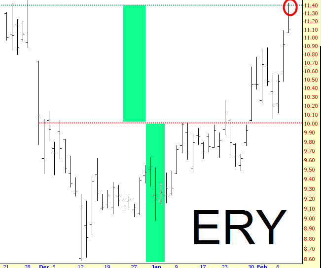 Direxion Daily Energy Bear 3X Shares