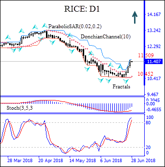 Rice D1 Chart
