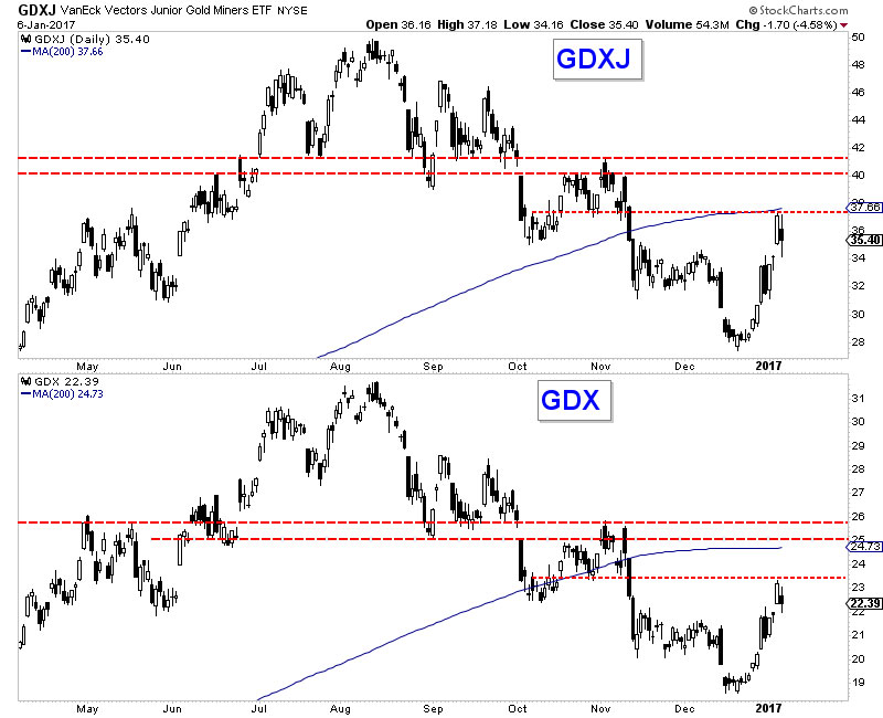 Jr. Gold Miners, Gold Miners