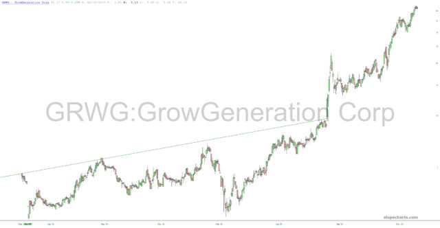 Grow Generational Chart.