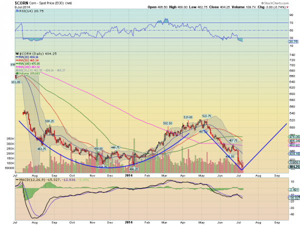 Corn Daily