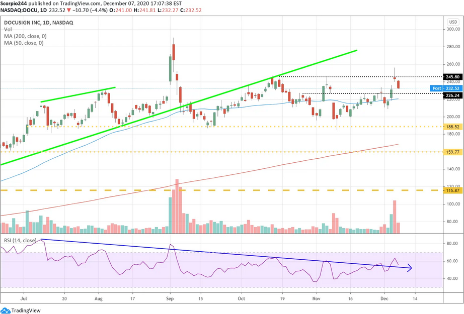 DocuSign Inc Daily Chart