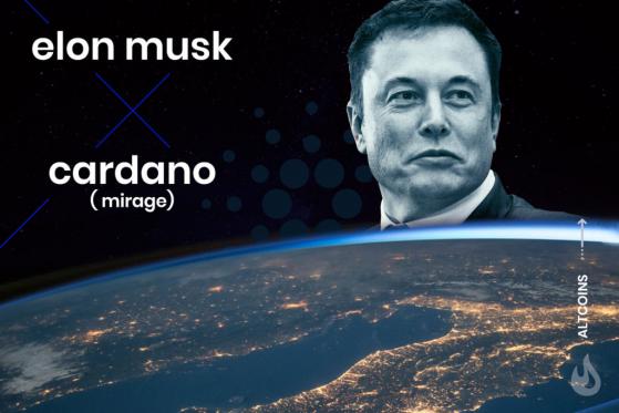 Elon Musk’s Influence In Crypto. Is Musk Endorsing Cardano (ADA)?