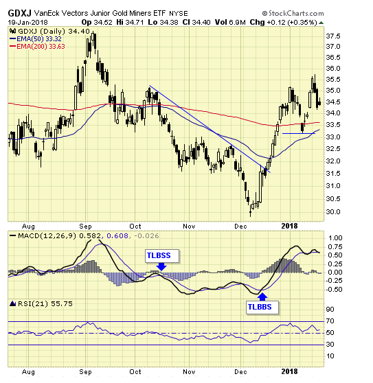 GDX Daily Chart