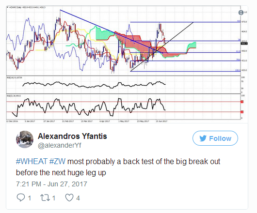 Wheat Daily