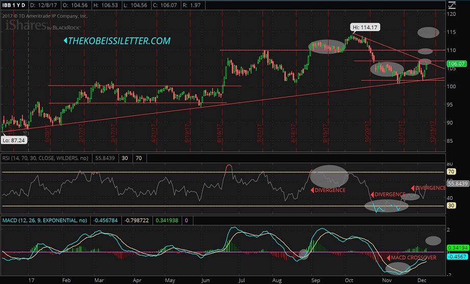 IBB 1-Year Daily Chart