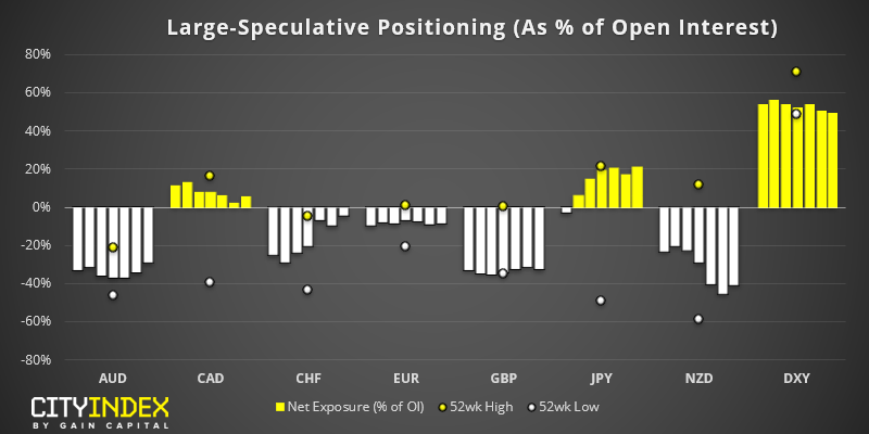 Large Speculative Positioning Chart