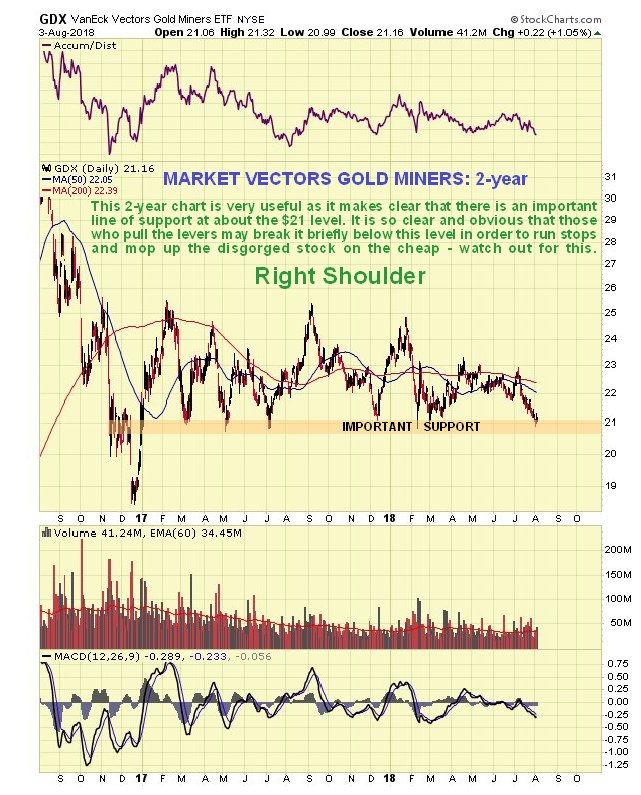 2-Year Gold Miners