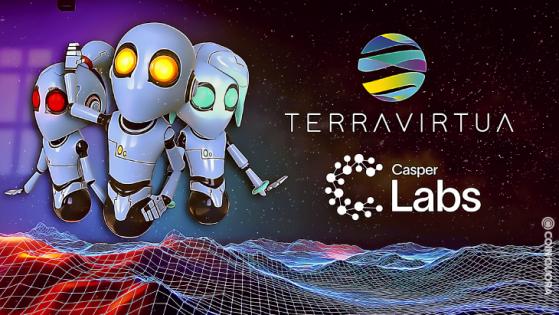 Terra Virtua Will Use Casper Network for Authentication