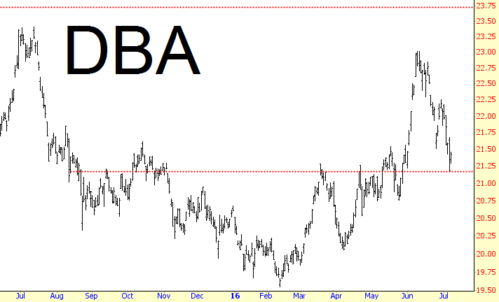 DBA Chart
