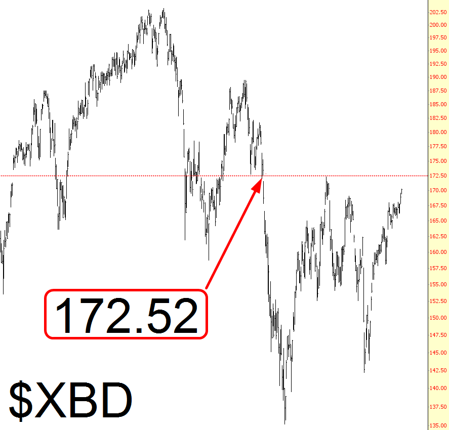 XBD Chart