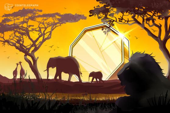 Crypto Usage and Trading Surging in Africa, Exchange CEO Says