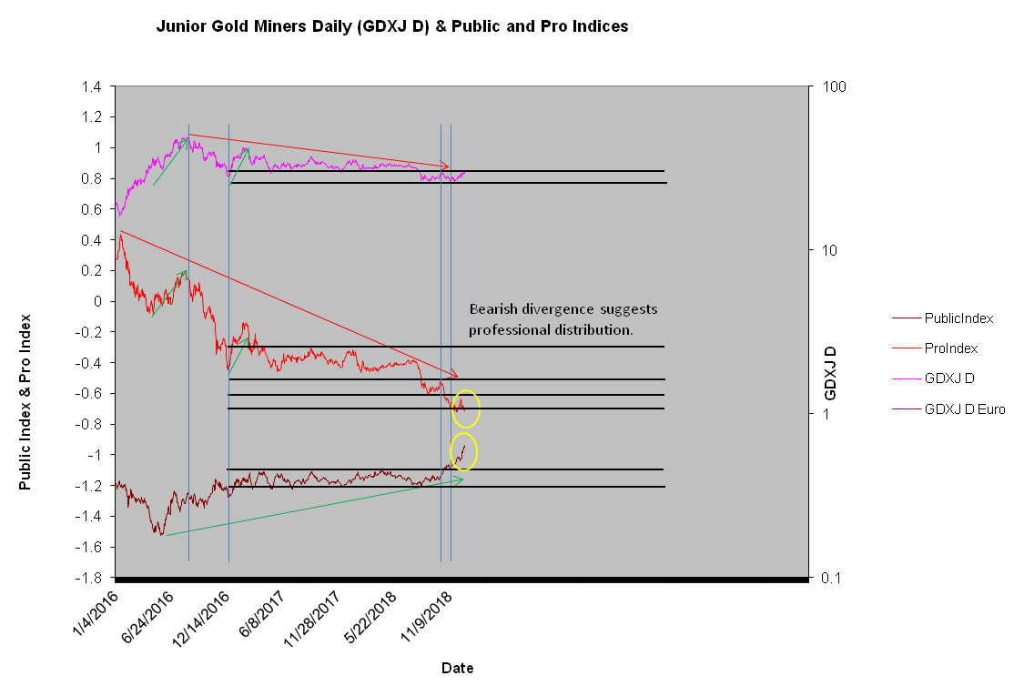 Junior Gold Miners Daily Chart