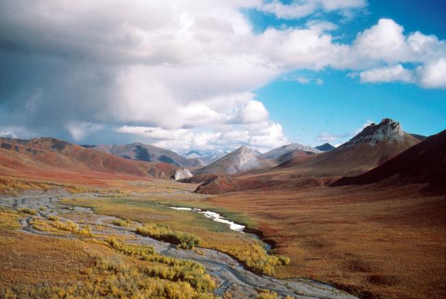 © Bloomberg. 392886 20: (FILE PHOTO) This undated photo shows the Arctic National Wildlife Refuge in Alaska. The Bush administration''s controversial plan to open the refuge to oil drilling was approved by the House of Representatives on August 2, 2001, but it faces a tough battle in the Senate. (Photo by U.S. Fish and Wildlife Service/Getty Images) Photographer: Getty Images/Getty Images North America