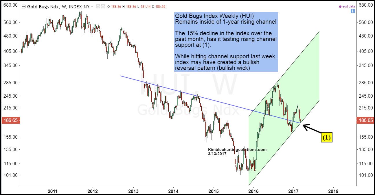 Gold Bugs Weekly Chart