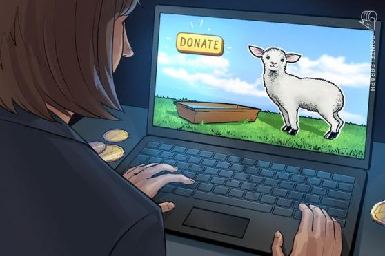 Crypto-powered Sheep Feeding Channel Raises Money for a Good Cause