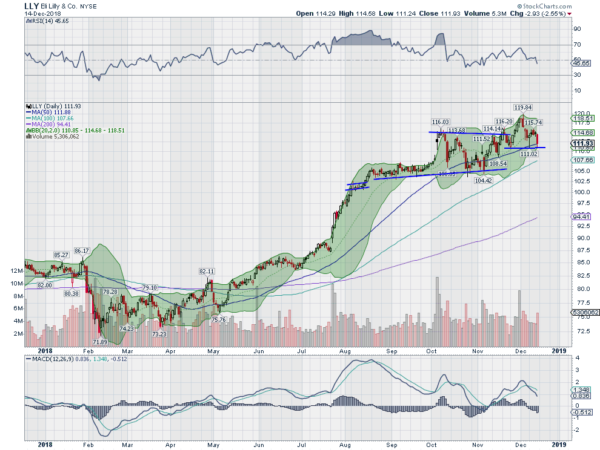 LLY Daily Chart