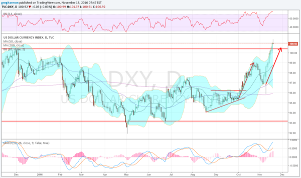 Daily USD