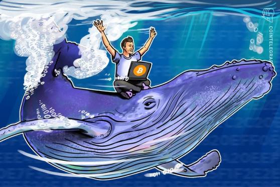 Data Shows Bitcoin Whales Have No Intent of Selling at Current Prices