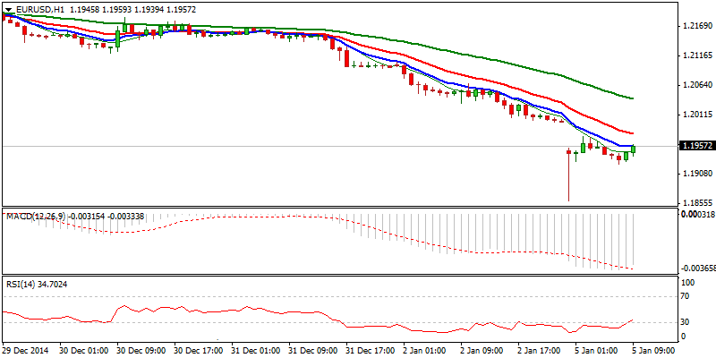 EUR/USD Hourly Chart